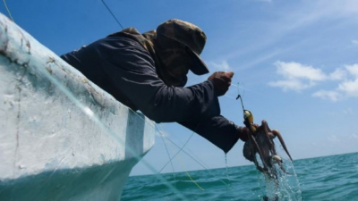 Pesca furtiva da&ntilde;a producci&oacute;n de camar&oacute;n