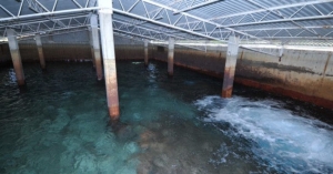 Asoma escasez de agua por la falta de lluvias