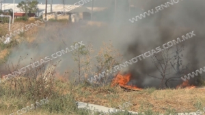 Bajan 40 por ciento incendios en zacatales