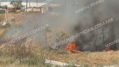 Bajan 40 por ciento incendios en zacatales