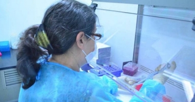 Registra Tamaulipas 175 nuevos casos de Covid-19