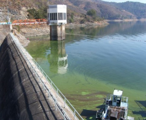 Hay agua para un a&ntilde;o: CEAT