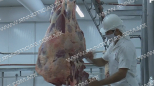 Baja exportaci&oacute;n de ganado un 60 por ciento en Nuevo Laredo