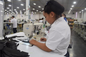 Se desploma recuperaci&oacute;n de empleos