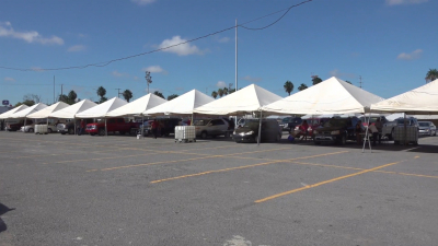 VIDEO Nuevo Laredo n&uacute;mero 1 en regularizaci&oacute;n de autos chocolate en Tamaulipas