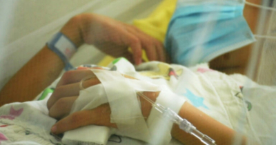 Alerta: viene un aumento en los casos de dengue