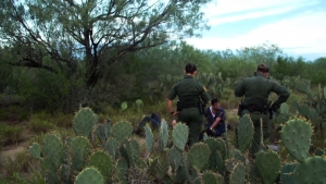 VIDEO Llegan deportados en mal estado de salud tras cruce a Estados Unidos