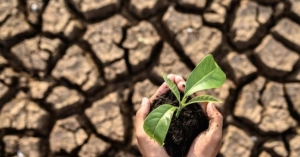 Nuevas generaciones enfrentarán 7 veces más olas de calor