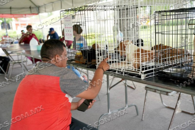 REALIZA DIRECCI&Oacute;N DE BIENESTAR ANIMAL FERIA DE ADOPCIONES ESTE FIN DE SEMANA