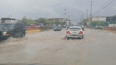 VIDEO Benéfica caída de lluvias para campo y ganadería de Nuevo Laredo