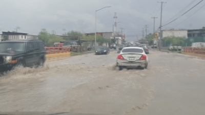 VIDEO Ben&eacute;fica ca&iacute;da de lluvias para campo y ganader&iacute;a de Nuevo Laredo