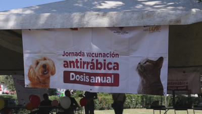 VIDEO Realizan feria de adopci&oacute;n canina y felina municipal