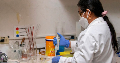 Analiza UAT bacteria que afecta a perros