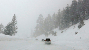 Peligrosa tormenta invernal paraliza aeropuertos y caminos de EU hasta con -50&deg;