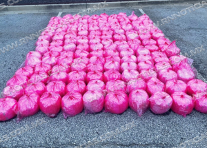 Oficiales de CBP incautan $35.2 millones de dólares en metanfetamina