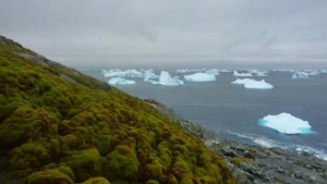 Récord de temperatura en la Antártida: 18.3 grados en 2020