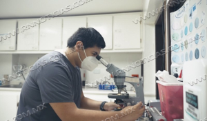 PROMOVER&Aacute; GOBIERNO MUNICIPAL TURISMO M&Eacute;DICO MEDIANTE CONGRESO INTERNACIONAL