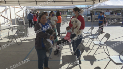 Aprovecha ciudadan&iacute;a Brigada de Salud Animal