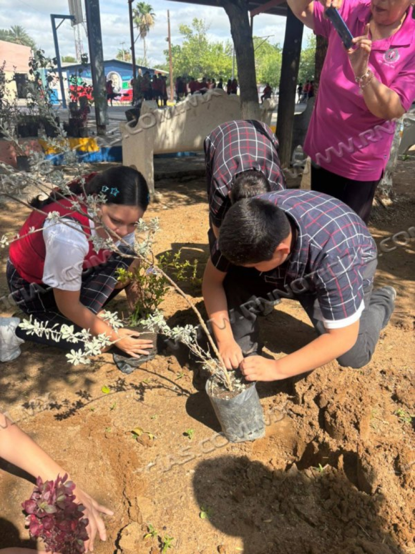 IMPULSAN FORESTACIÓN Y CUIDADO DEL MEDIO AMBIENTE EN ESCUELA LAURO AGUIRRE