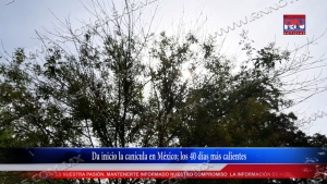 VIDEO Da inicio la canícula en México; los 40 días más calientes