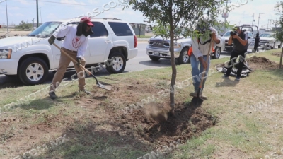 Se avanza en la reforestación de Nuevo Laredo