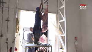 VIDEO Esperan incremento de sacrificios en rastro municipal de Nuevo Laredo