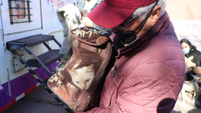 VIDEO Gobierno municipal har&aacute; segunda campa&ntilde;a de esterilizaci&oacute;n canina y felina