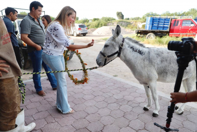 RESPONDE CIUDADAN&Iacute;A A CAMPA&Ntilde;A DE RESCATE DE ANIMALES DEL GOBIERNO MUNICIPAL