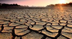 M&eacute;xico termina el 2022 con 50% de su territorio en sequ&iacute;a