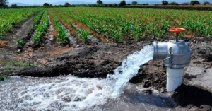 Vence plazo y no dan a conocer plan de riego para R&iacute;o Bravo