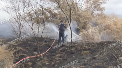 Incrementan incendios en zacatales 40 por cientos pese temporada de invierno