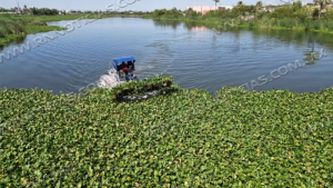 PRESENTA GOBIERNO MUNICIPAL PLAN DE RESCATE AMBIENTAL; ARRANCAN EN EL LAGUITO