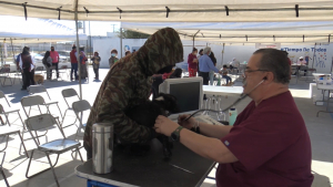 VIDEO Aprovecha ciudadanía Brigada de Salud Animal