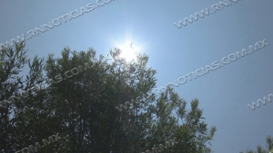 Altas temperaturas pueden generar quemaduras en piel de ni&ntilde;os; Michou y Mau