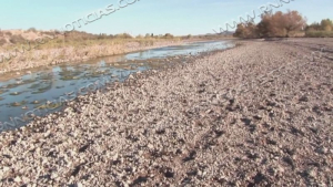 Tamaulipas dentro de los 4 estados con mayor sequía en México