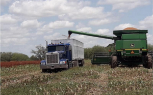 Cambio clim&aacute;tico preocupa a productores tamaulipecos