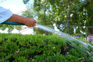 EXHORTA GOBIERNO MUNICIPAL A CUIDAR EL AGUA; APLICAN MULTAS DE MÁS DE 10 MIL PESOS POR DESPERDICIARLA
