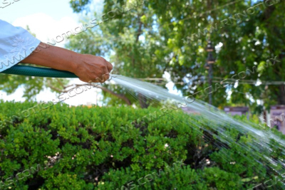 EXHORTA GOBIERNO MUNICIPAL A CUIDAR EL AGUA; APLICAN MULTAS DE M&Aacute;S DE 10 MIL PESOS POR DESPERDICIARLA