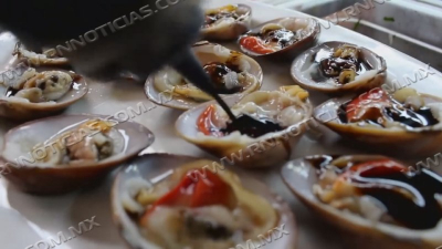 Piden cuidado con el consumo de mariscos para evitar intoxicaciones