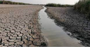 &ldquo;Pega&rdquo; sequ&iacute;a a 23 municipios de Tamaulipas