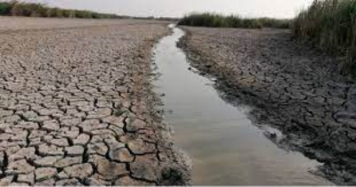 “Pega” sequía a 23 municipios de Tamaulipas
