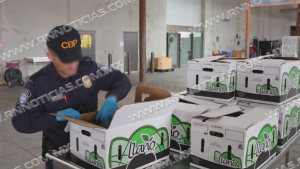 Podr&iacute;an reanudarse revisiones exhaustivas en Puentes internacionales para el comercio