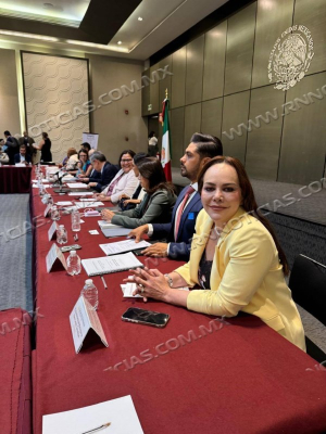 ALCALDESA CARMEN LILIA CANTUROSAS CONSOLIDA LIDERAZGO EN PLANEACIÓN URBANA AL INTEGRARSE AL CONSEJO NACIONAL DE ORDENAMIENTO TERRITORIAL