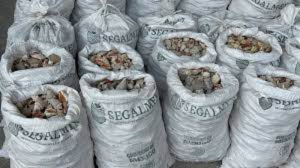 Decomisan metanfetamina en costales de Segalmex en Hong Kong