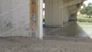 Ganaderos de Nuevo Laredo cuidan la poca agua que tienen ante sequía extrema