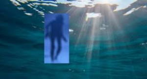 Congresista de EU hace una revelaci&oacute;n sobre OVNIs en el oc&eacute;ano