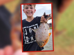 Ni&ntilde;o pesca &lsquo;monstruosa&rsquo; pira&ntilde;a con &lsquo;dientes humanos&rsquo;
