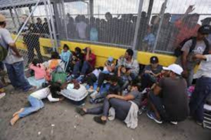 Importan de Venezuela paludismo