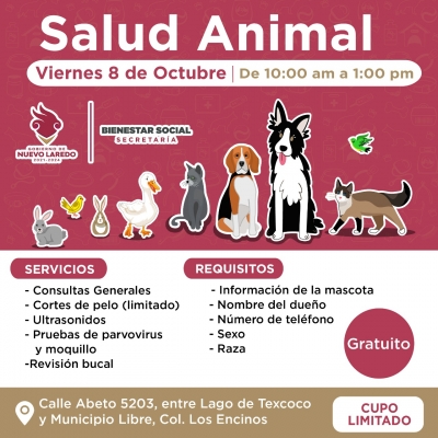 PRIMERA BRIGADA DE SALUD ANIMAL