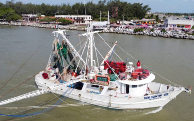 Regresan &ldquo;semi vac&iacute;os&rdquo; los primeros barcos camaroneros a la zona